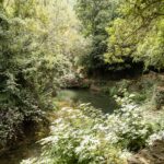 Boda en Molí l’Abad: una celebración entre naturaleza, emoción y fiesta en la Tinença de Benifassà
